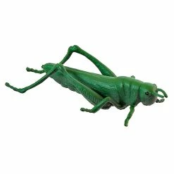 Cheapest ???? Miniland Insects 12 Pieces * ???? -Ostheimer shop 27480 J nueva 800x800 crop center