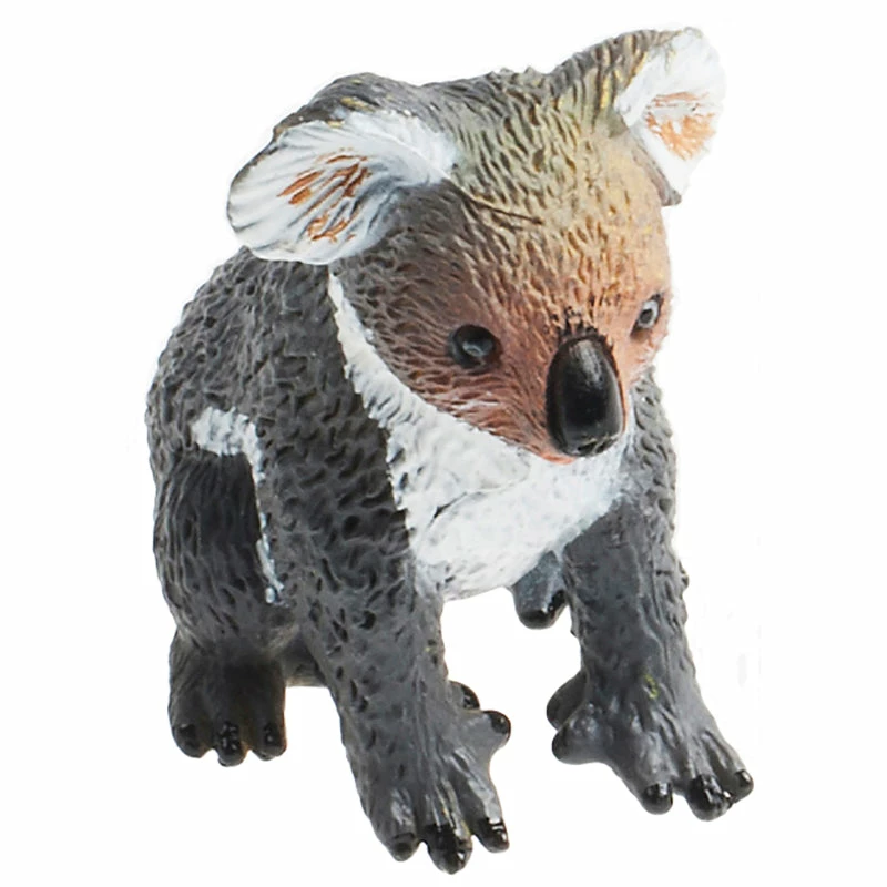 Flash Sale ???? Science & Nature Koala Small ???? 3 Flash Sale ???? Science & Nature Koala Small ????