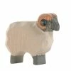 Cheap ???? Ostheimer Moorland Ram ???? 2 Cheap ???? Ostheimer Moorland Ram ???? -Ostheimer shop OST11751 01 800x800 crop center