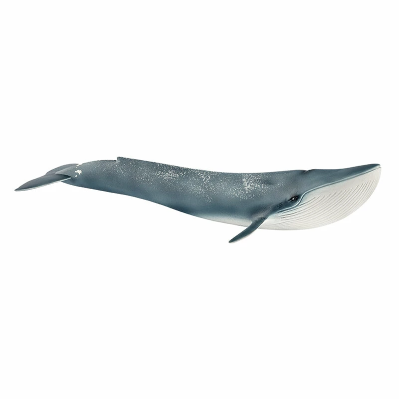 Hot Sale ???? Schleich Blue Whale ???? 3 Hot Sale ???? Schleich Blue Whale ????