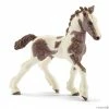 Budget ???? Schleich Tinker Foal ???? 1 Budget ???? Schleich Tinker Foal ???? -Ostheimer shop SCH13774 01 d65ff3c8 5f37 4722 bea4 b748e509cd79 800x800 crop center