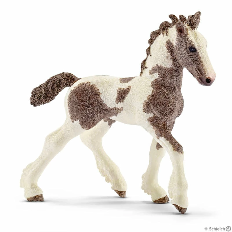Budget ???? Schleich Tinker Foal ???? 3 Budget ???? Schleich Tinker Foal ????