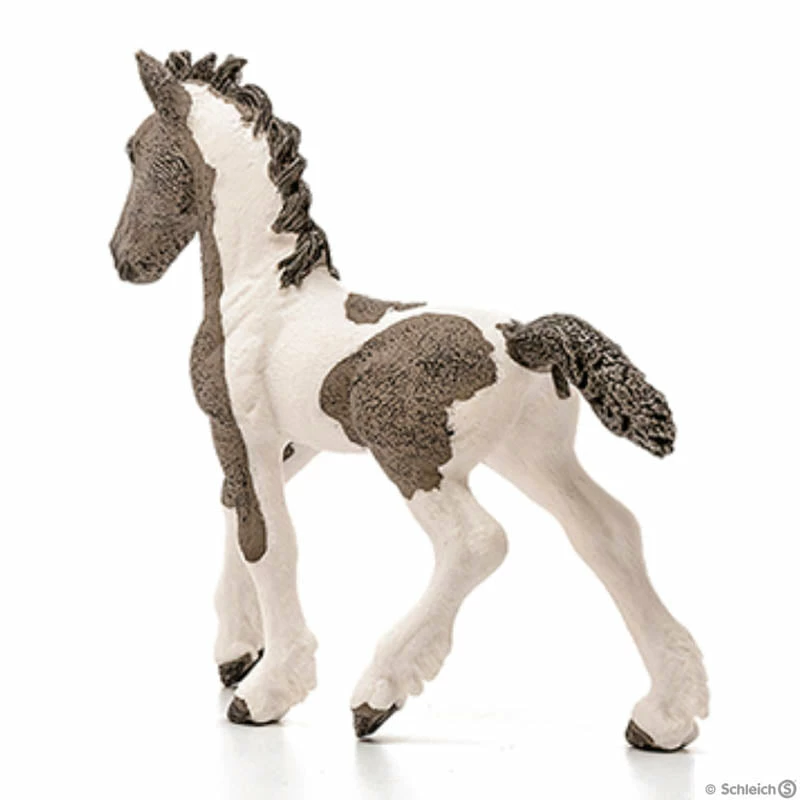 Budget ???? Schleich Tinker Foal ???? 4 Budget ???? Schleich Tinker Foal ???? - Image 2