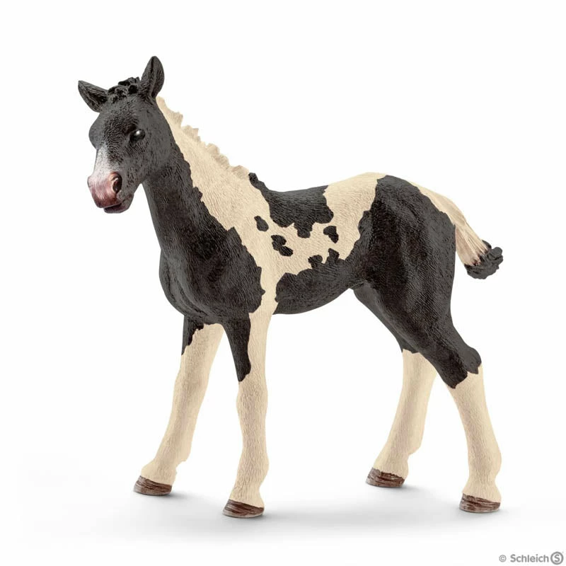 Cheapest ✨ Schleich Pinto Foal ???? 3 Cheapest ✨ Schleich Pinto Foal ????