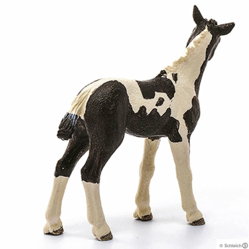 Cheapest ✨ Schleich Pinto Foal ???? 4 Cheapest ✨ Schleich Pinto Foal ???? - Image 2