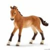 Deals ???? Schleich Tennessee Walker Foal β 1 Deals ???? Schleich Tennessee Walker Foal β -Ostheimer shop SCH13804 01 800x800 crop center