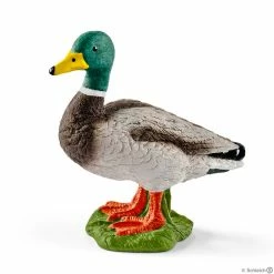 Budget ???? Schleich Drake Duck ????