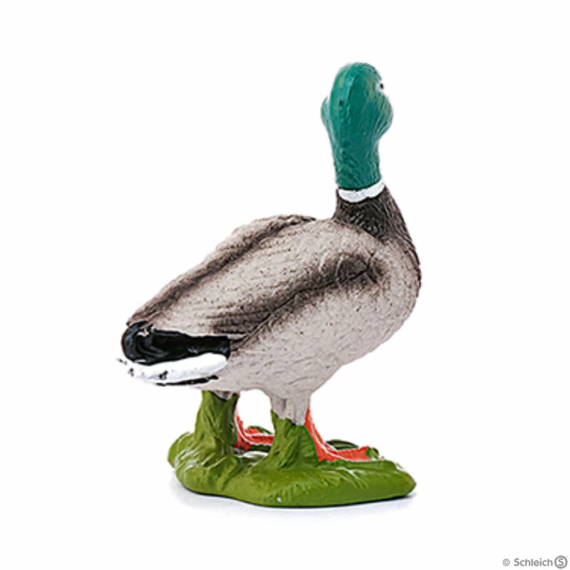 Budget ???? Schleich Drake Duck ???? 4 Budget ???? Schleich Drake Duck ???? - Image 2
