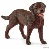 Best reviews of ???? Schleich Labrador Retriever Female ✔️ -Ostheimer shop SCH13834 01 800x800 crop center