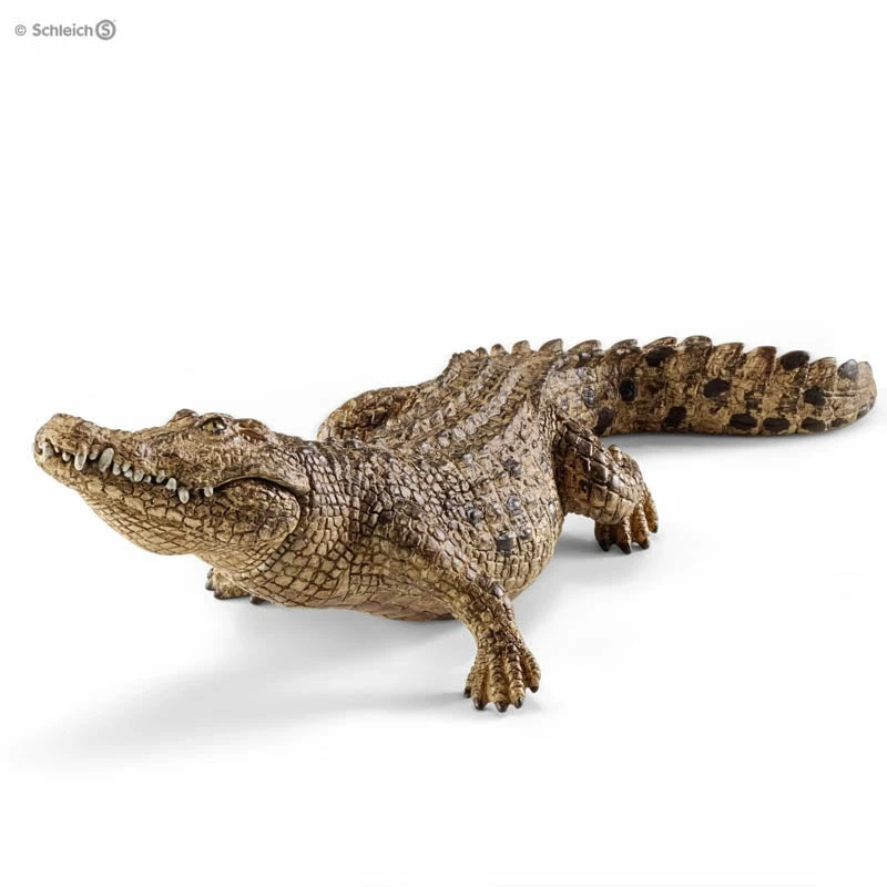 Best Pirce ???? Schleich Crocodile ???? 3 Best Pirce ???? Schleich Crocodile ????