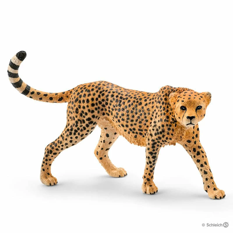 Deals ???? Schleich Cheetah Female ⭐ 3 Deals ???? Schleich Cheetah Female ⭐