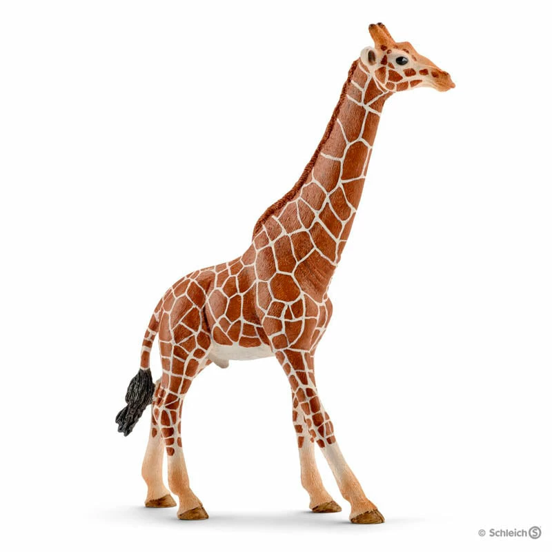 Top 10 ✨ Schleich Giraffe Male ❤️ 3 Top 10 ✨ Schleich Giraffe Male ❤️