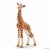 Best Sale ???? Schleich Giraffe Calf ???? -Ostheimer shop SCH14751 01 800x800 crop center