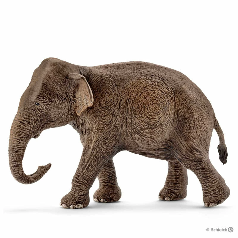 Coupon ???? Schleich Asian Elephant Female ???? 3 Coupon ???? Schleich Asian Elephant Female ????
