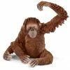 Budget ???? Schleich Orangutan Female ???? 1 Budget ???? Schleich Orangutan Female ???? -Ostheimer shop SCH14775 02 800x800 crop center