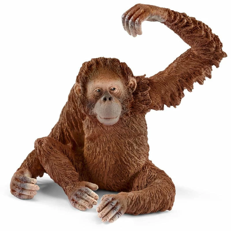 Budget ???? Schleich Orangutan Female ???? 3 Budget ???? Schleich Orangutan Female ????