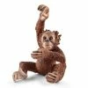 Budget ???? Schleich Young Orangutan ???? 2 Budget ???? Schleich Young Orangutan ???? -Ostheimer shop SCH14776 01 800x800 crop center