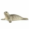 Deals ???? Schleich Seal ⌛ 2 Deals ???? Schleich Seal ⌛ -Ostheimer shop SCH14801 01 800x800 crop center