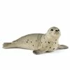 Hot Sale ???? Schleich Seal Cub ???? 2 Hot Sale ???? Schleich Seal Cub ???? -Ostheimer shop SCH14802 01 800x800 crop center