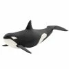 Best Sale ???? Schleich Killer Whale ???? -Ostheimer shop SCH14807 01 800x800 crop center