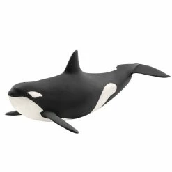 Best Sale ???? Schleich Killer Whale ????