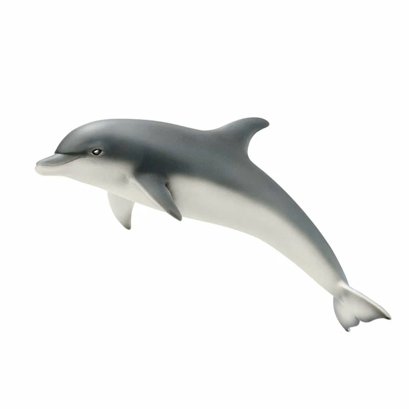 Budget ???? Schleich Dolphin ???? 3 Budget ???? Schleich Dolphin ????