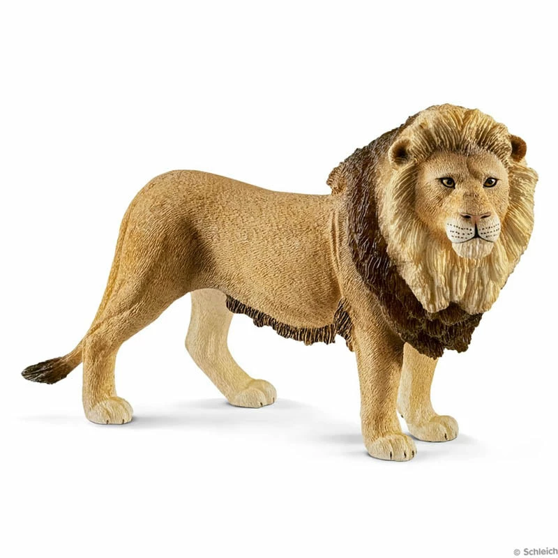Buy ???? Schleich Lion ???? 3 Buy ???? Schleich Lion ????