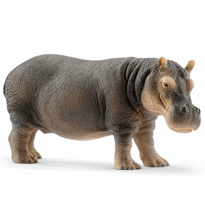 Cheapest ???? Schleich Hippopotamus ???? 3 Cheapest ???? Schleich Hippopotamus ????