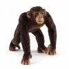 Discount ???? Schleich Chimpanzee Male ???? 1 Discount ???? Schleich Chimpanzee Male ???? -Ostheimer shop SCH14817 01 800x800 crop center