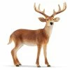 Top 10 ⌛ Schleich White-tailed Buck ???? 2 Top 10 ⌛ Schleich White-tailed Buck ???? -Ostheimer shop SCH14818 01 800x800 crop center
