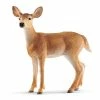 Best Pirce ???? Schleich White-tailed Doe ???? 2 Best Pirce ???? Schleich White-tailed Doe ???? -Ostheimer shop SCH14819 01 800x800 crop center