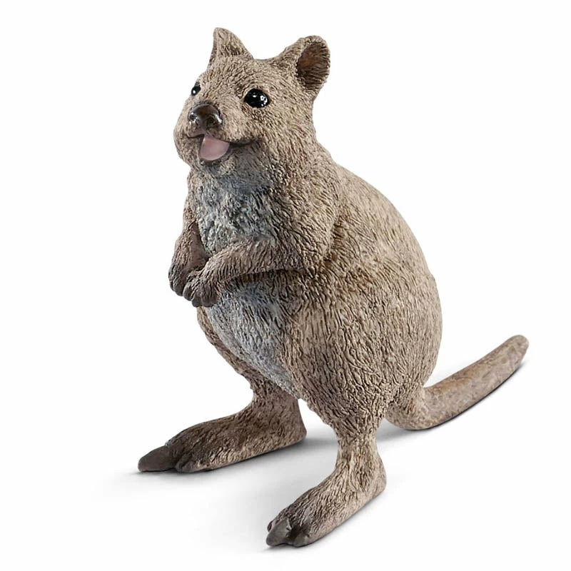 Best Pirce ???? Schleich Quokka ???? 3 Best Pirce ???? Schleich Quokka ????