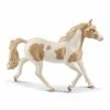Best Pirce ???? Schleich Paint Horse Mare ???? 2 Best Pirce ???? Schleich Paint Horse Mare ???? -Ostheimer shop sc13884 1 800x800 crop center