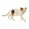Budget ❤️ Schleich American Shorthair Cat ✨ 2 Budget ❤️ Schleich American Shorthair Cat ✨ -Ostheimer shop sc13894 800x800 crop center