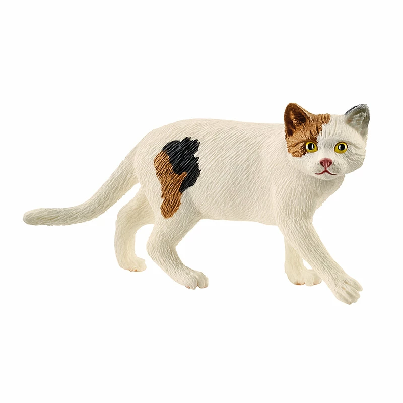 Budget ❤️ Schleich American Shorthair Cat ✨ 3 Budget ❤️ Schleich American Shorthair Cat ✨