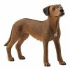 Best Pirce ???? Schleich Rhodesian Ridgeback ???? -Ostheimer shop sc13895 800x800 crop center