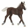 Buy ???? Schleich Black Forest Foal ???? 2 Buy ???? Schleich Black Forest Foal ???? -Ostheimer shop sc13899 800x800 crop center