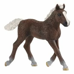 Buy ???? Schleich Black Forest Foal ????