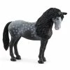 Budget ❤️ Schleich Pura Raza Espanola Mare ???? 2 Budget ❤️ Schleich Pura Raza Espanola Mare ???? -Ostheimer shop sc13922 800x800 crop center