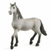 Top 10 ⌛ Schleich Pura Raza Espanola Young Horse ???? 1 Top 10 ⌛ Schleich Pura Raza Espanola Young Horse ???? -Ostheimer shop sc13924 800x800 crop center