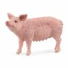 Best reviews of ???? Schleich Pig ???? 1 Best reviews of ???? Schleich Pig ???? -Ostheimer shop sc13933 800x800 crop center