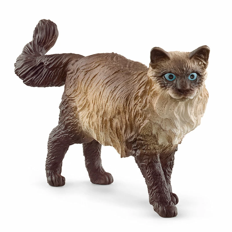 Promo ???? Schleich Ragdoll Cat ???? 3 Promo ???? Schleich Ragdoll Cat ????
