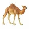 Coupon ???? Schleich Dromedary ???? 2 Coupon ???? Schleich Dromedary ???? -Ostheimer shop sc14832 800x800 crop center