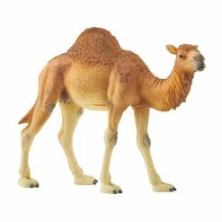 Coupon ???? Schleich Dromedary ????