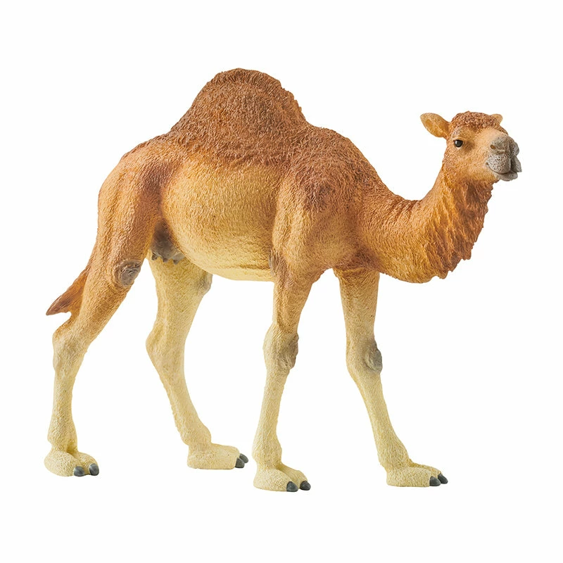 Coupon ???? Schleich Dromedary ???? 3 Coupon ???? Schleich Dromedary ????