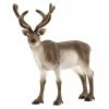 Brand new ???? Schleich Reindeer ???? -Ostheimer shop sc14837 800x800 crop center