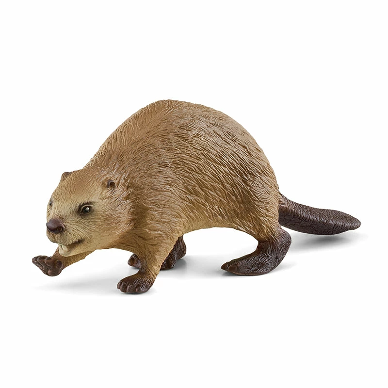 Deals ❤️ Schleich Beaver ???? 3 Deals ❤️ Schleich Beaver ????